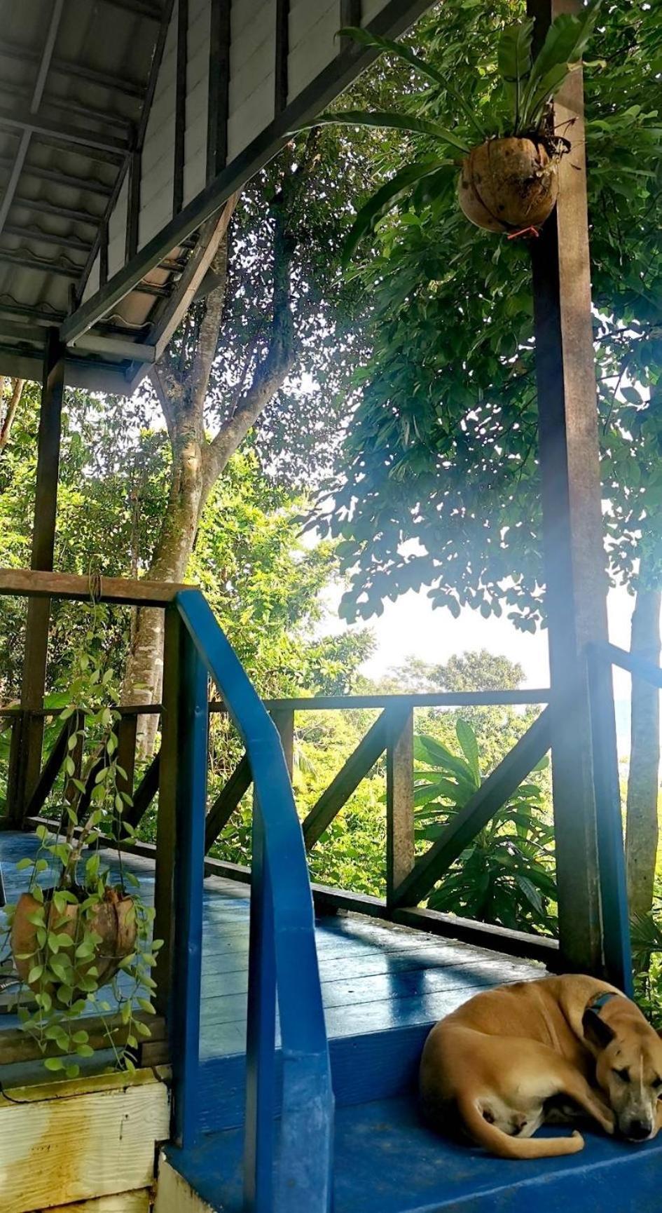 Rasta View Bangalows Koh Chang Dış mekan fotoğraf